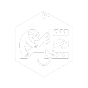 Athletic edge logo