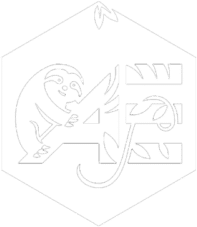 AE Adventure Park Logo